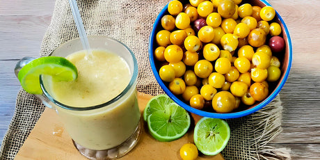 3 Recetas Típicas con Nance Salvadoreño en Estados Unidos