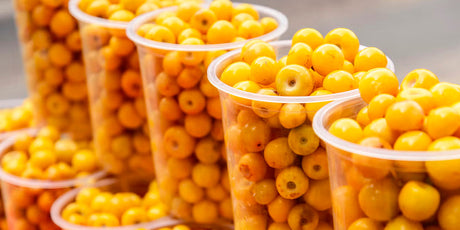 ¿Qué es el Nance Salvadoreño? | Frutas Congeladas en USA