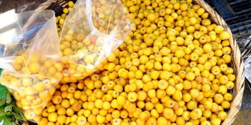 Pulpa de Nance Salvadoreño Congelada | Ideal para Frescos y Postres | 14 oz