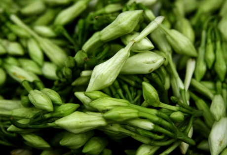 Salvadoran Locoro 6 oz | Traditional Ingredient