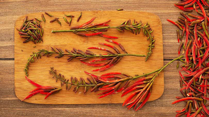 Salvadoran Pito 6 oz | Traditional Flower for Soups and Stews