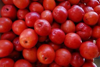 Jocote Ciruela Salvadoreño | 16oz