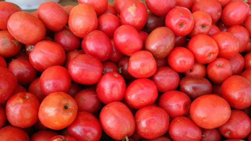 Jocote Ciruela Salvadoreño | 16oz