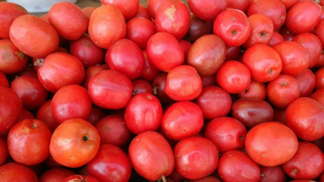 Salvadoran Red Jocote | 16 oz