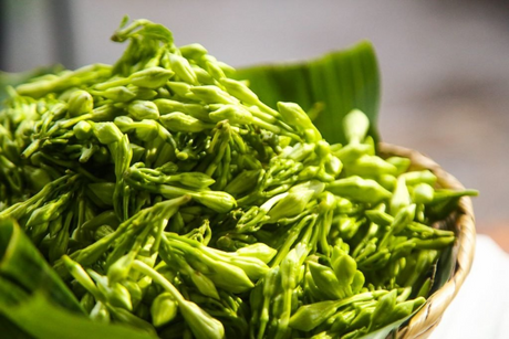 Locoro Salvadoreño 16 oz – ingrediente tradicional para sopas y platillos típicos – Latin Foods At Your Door