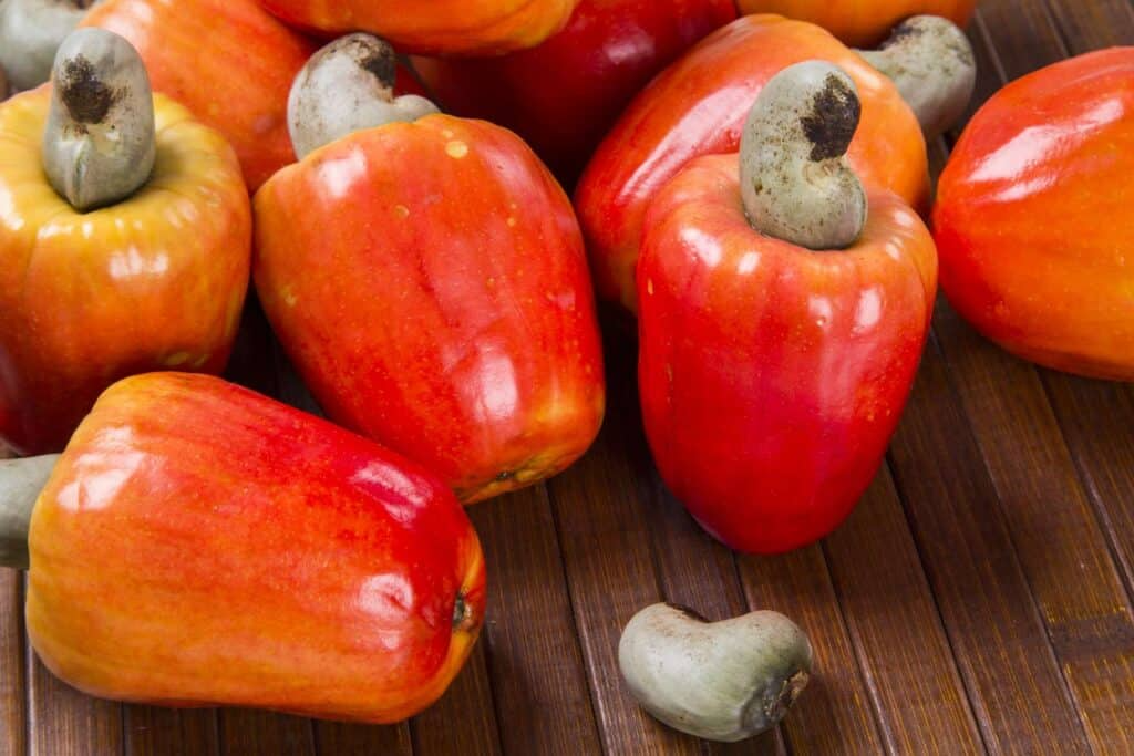 Pulpa de Marañón Salvadoreño | Sabor Refrescante y Tradicional