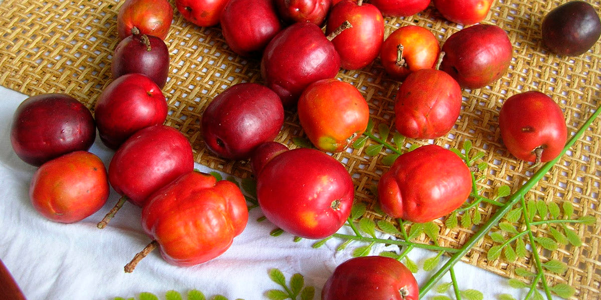 3 Ideas para Disfrutar el Jocote Ciruela | Sabor Latino en USA