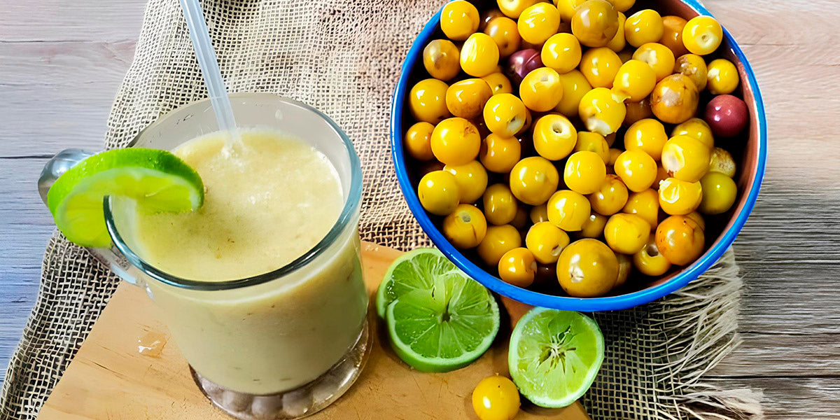 3 Recetas Típicas con Nance Salvadoreño en Estados Unidos