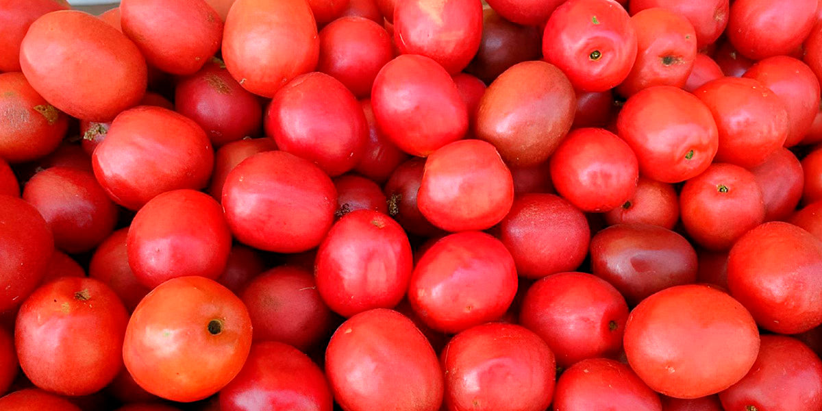 ¿Qué es el Jocote Ciruela Salvadoreño? | Frutas Latinas en Estados Unidos