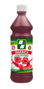 Botella de Concentrado de Flor de Jamaica B&B 678 ml – Bebida natural salvadoreña