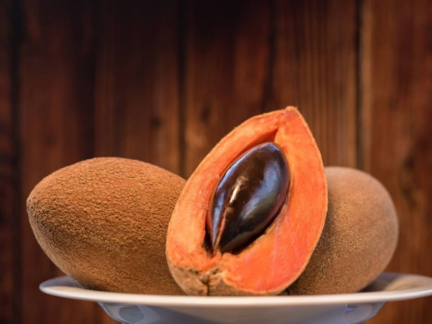 Mamey | 12oz