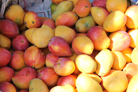 Mango Ciruela | Fruta Tropical Centroamericana | 16oz