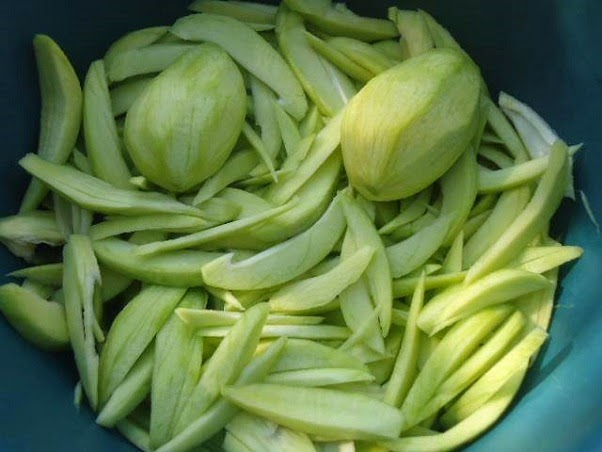 Mango Verde Salvadoreño | 16oz